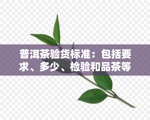 普洱茶验货标准：包括要求、多少、检验和品茶等方面的内容。