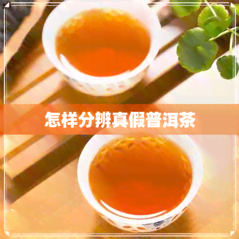 怎样分辨真假普洱茶