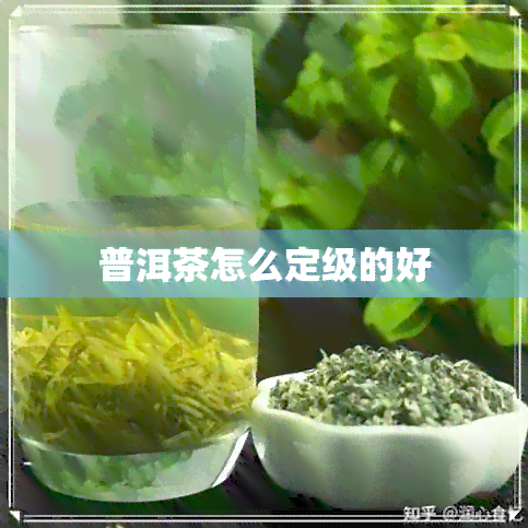 普洱茶怎么定级的好