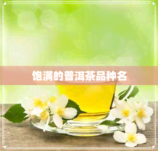 饱满的普洱茶品种名