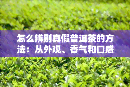 怎么辨别真假普洱茶的方法：从外观、香气和口感入手，避免购买假冒伪劣产品