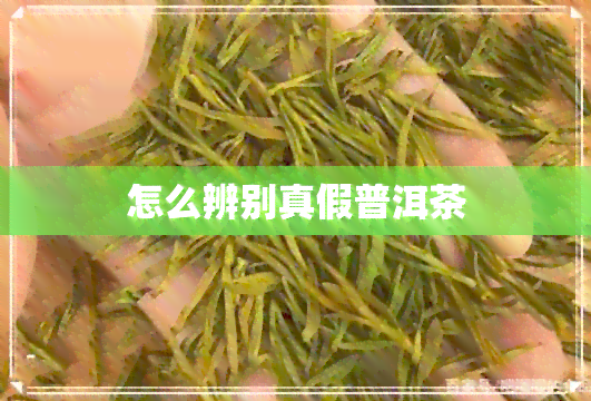 怎么辨别真假普洱茶