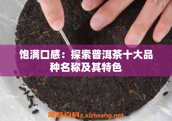 饱满口感：探索普洱茶十大品种名称及其特色