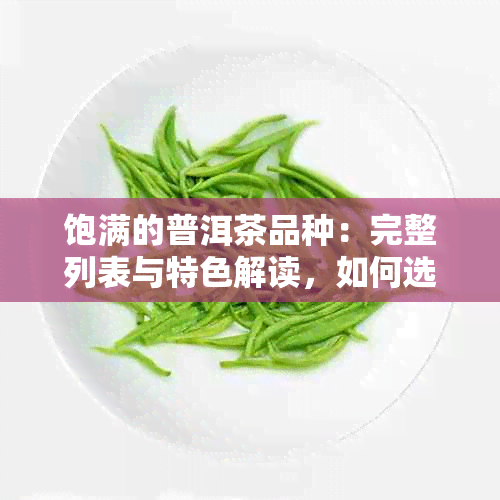 饱满的普洱茶品种：完整列表与特色解读，如何选择适合您的普洱茶叶？