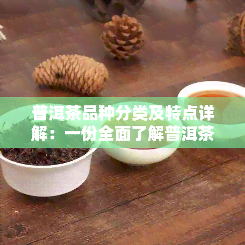 普洱茶品种分类及特点详解：一份全面了解普洱茶的极指南