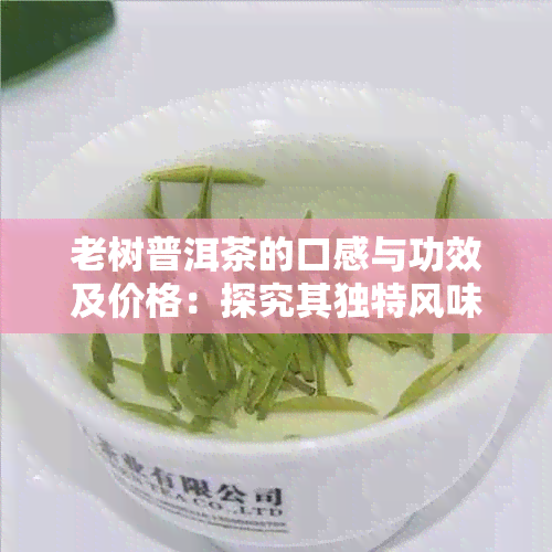 老树普洱茶的口感与功效及价格：探究其独特风味与健益处