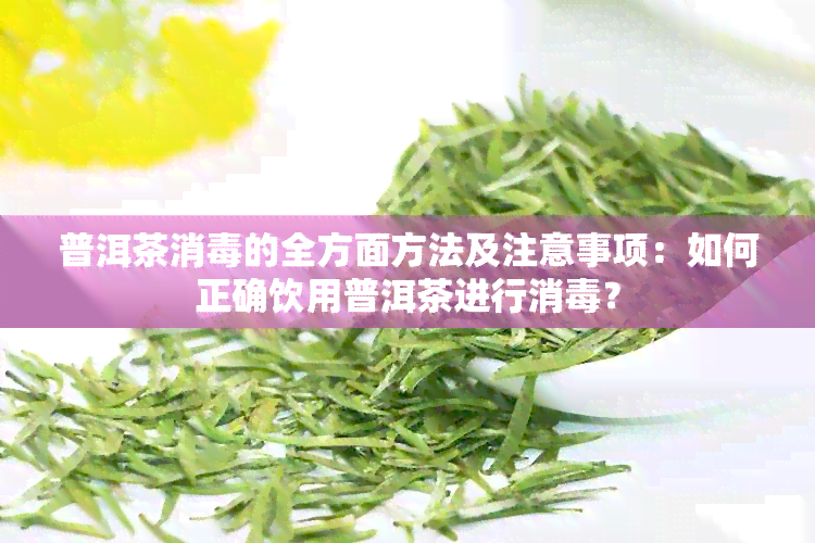 普洱茶消的全方面方法及注意事项：如何正确饮用普洱茶进行消？