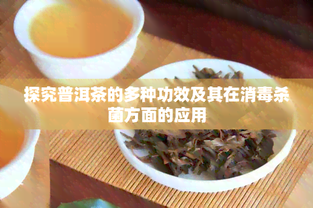 探究普洱茶的多种功效及其在消杀菌方面的应用