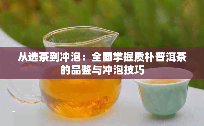 从选茶到冲泡：全面掌握质朴普洱茶的品鉴与冲泡技巧