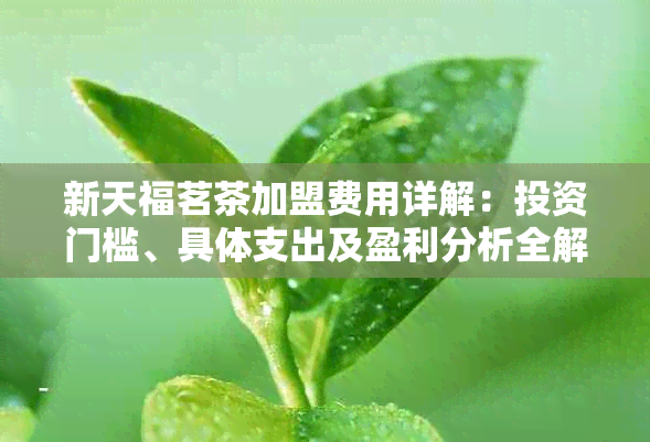 新天福茗茶加盟费用详解：投资门槛、具体支出及盈利分析全解析