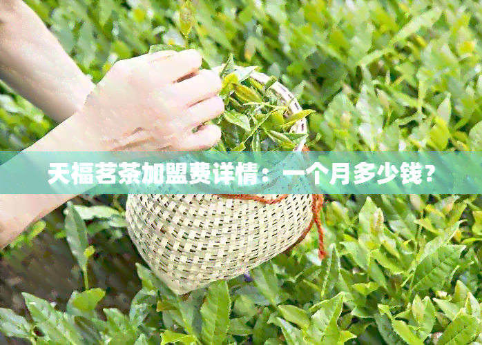 天福茗茶加盟费详情：一个月多少钱？