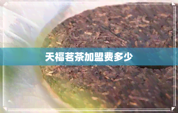 天福茗茶加盟费多少