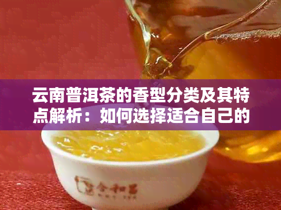 云南普洱茶的香型分类及其特点解析：如何选择适合自己的普洱茶？