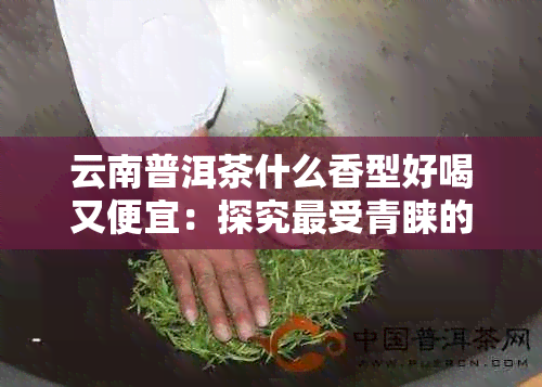 云南普洱茶什么香型好喝又便宜：探究最受青睐的香型及性价比