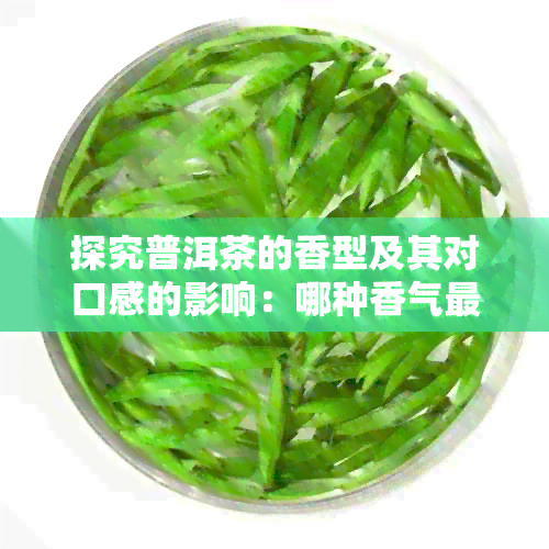 探究普洱茶的香型及其对口感的影响：哪种香气最令人醉？