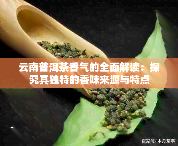 云南普洱茶香气的全面解读：探究其独特的香味来源与特点