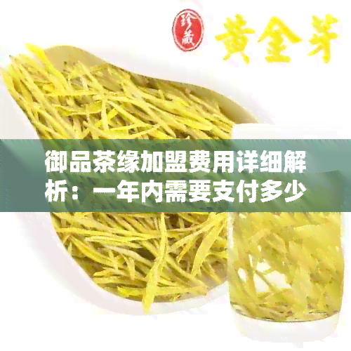 御品茶缘加盟费用详细解析：一年内需要支付多少钱？加盟商可获得哪些支持？