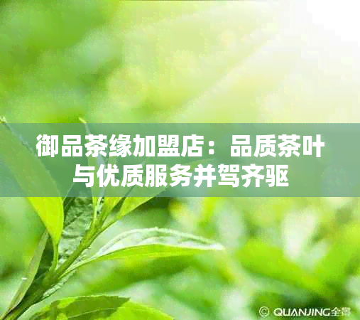 御品茶缘加盟店：品质茶叶与优质服务并驾齐驱