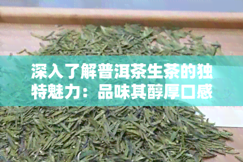 深入了解普洱茶生茶的独特魅力：品味其醇厚口感与明个性