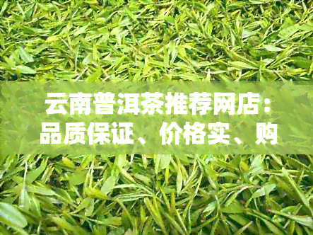 云南普洱茶推荐网店：品质保证、价格实、购物无忧的全方位茶叶购买指南