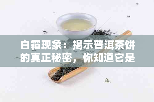 白霜现象：揭示普洱茶饼的真正秘密，你知道它是什么颜色吗？