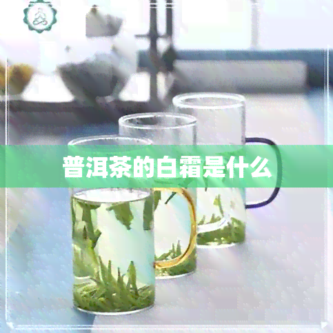 普洱茶的白霜是什么