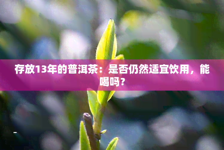 存放13年的普洱茶：是否仍然适宜饮用，能喝吗？