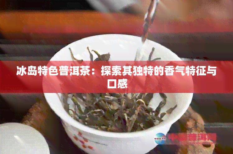 冰岛特色普洱茶：探索其独特的香气特征与口感