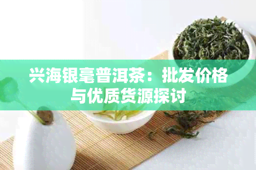 兴海银毫普洱茶：批发价格与优质货源探讨