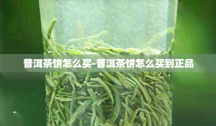 普洱茶饼怎么买-普洱茶饼怎么买到正品