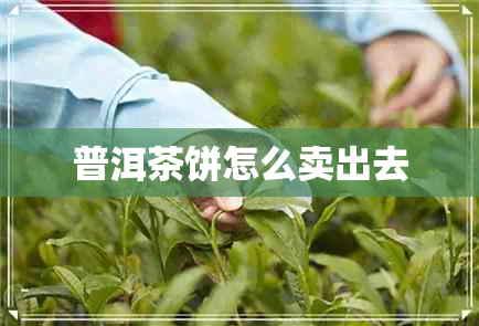 普洱茶饼怎么卖出去