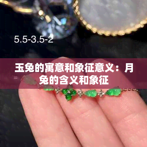 玉兔的寓意和象征意义：月兔的含义和象征