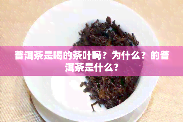 普洱茶是喝的茶叶吗？为什么？的普洱茶是什么？