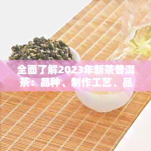 全面了解2023年新茶普洱茶：品种、制作工艺、品鉴方法与收藏价值一文解析