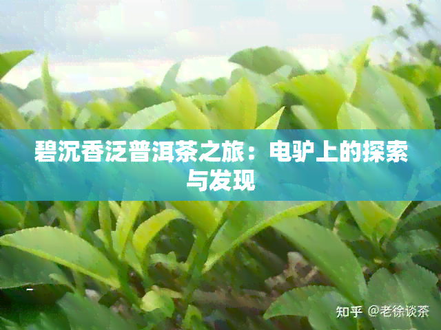 碧沉香泛普洱茶之旅：电驴上的探索与发现