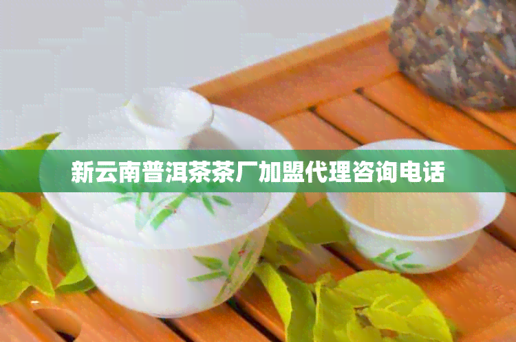 新云南普洱茶茶厂加盟代理咨询电话