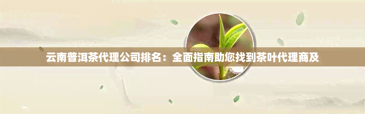 云南普洱茶代理公司排名：全面指南助您找到茶叶代理商及