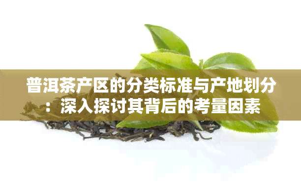 普洱茶产区的分类标准与产地划分：深入探讨其背后的考量因素