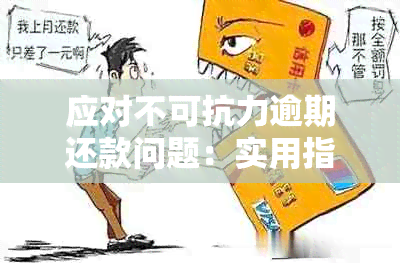 应对不可抗力逾期还款问题：实用指南