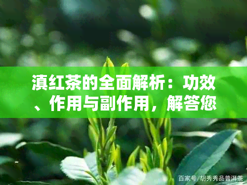 滇红茶的全面解析：功效、作用与副作用，解答您关于茶叶的所有疑问