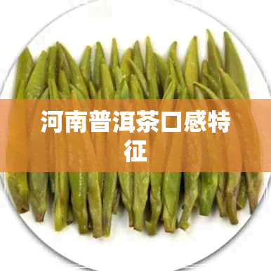 河南普洱茶口感特征