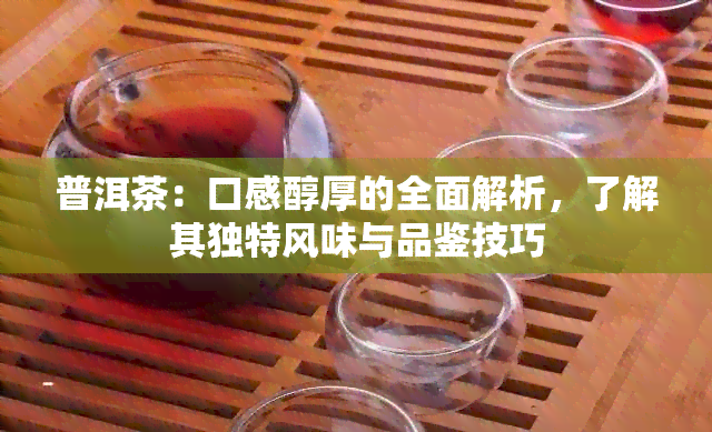 普洱茶：口感醇厚的全面解析，了解其独特风味与品鉴技巧