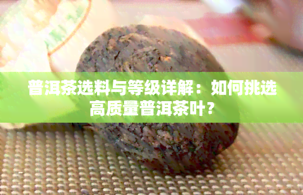 普洱茶选料与等级详解：如何挑选高质量普洱茶叶？