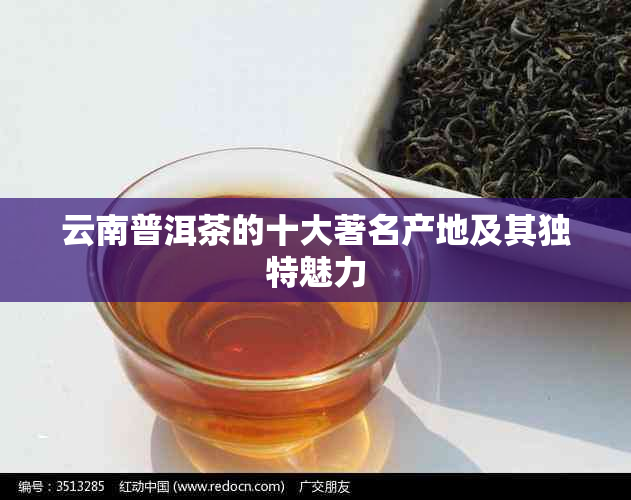 云南普洱茶的十大著名产地及其独特魅力