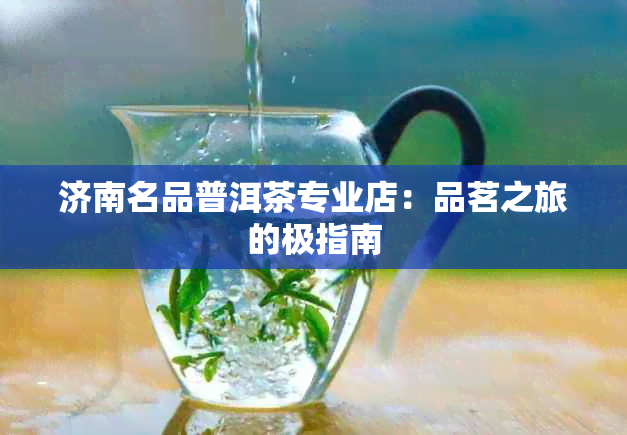 济南名品普洱茶专业店：品茗之旅的极指南