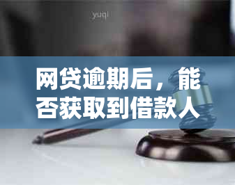 网贷逾期后，能否获取到借款人的电话号码及相关个人信息？如何操作？