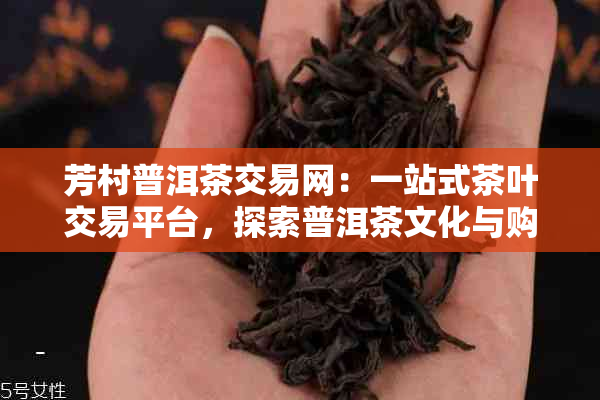 芳村普洱茶交易网：一站式茶叶交易平台，探索普洱茶文化与购买指南