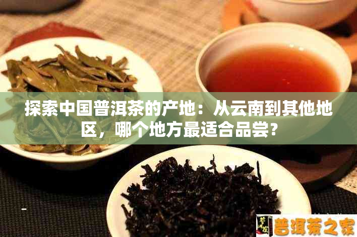 探索中国普洱茶的产地：从云南到其他地区，哪个地方最适合品尝？