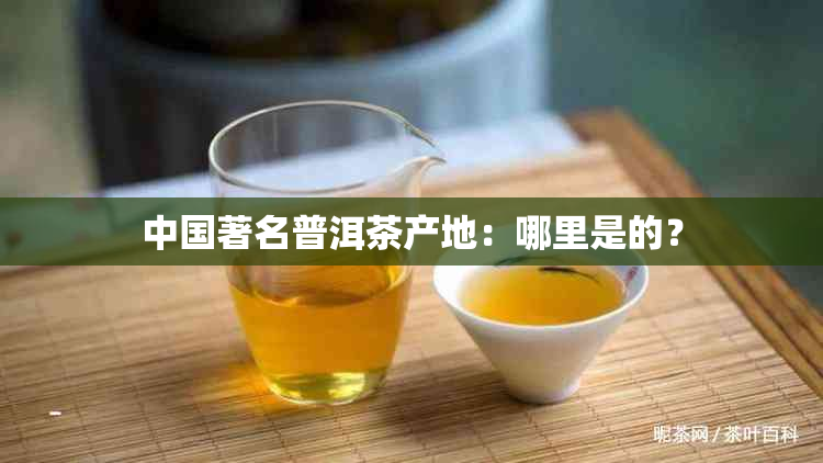 中国著名普洱茶产地：哪里是的？