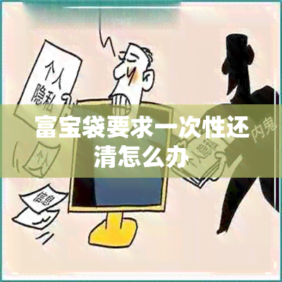 富宝袋要求一次性还清怎么办